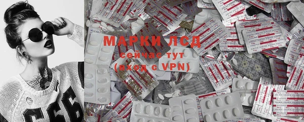 эйфоретик Алзамай