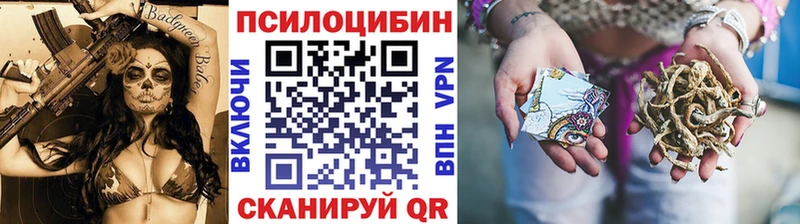Галлюциногенные грибы Psilocybe Алексин