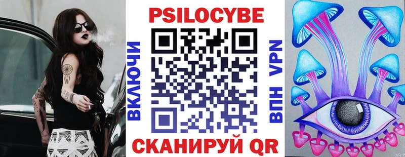 Псилоцибиновые грибы Psilocybe  Алексин 